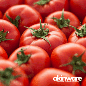 Tomaten
